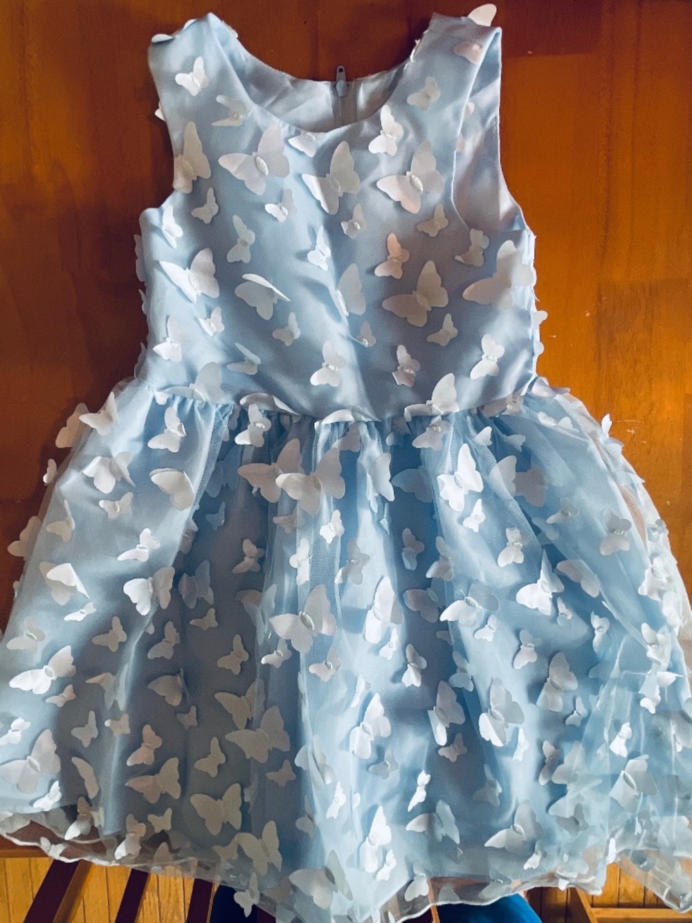 Blue Butterfly Dress